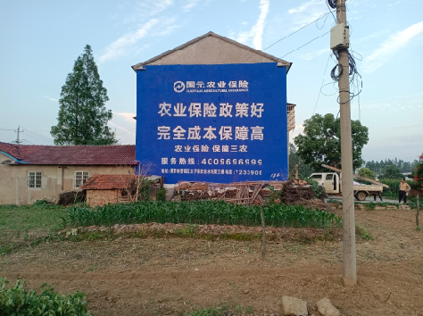 荆州墙体广告的优劣势你知道吗?